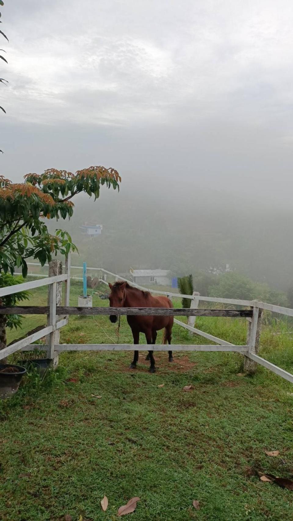 Phang Nga Viewpoint Екстер'єр фото